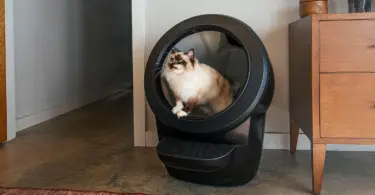 Litter Robot 4