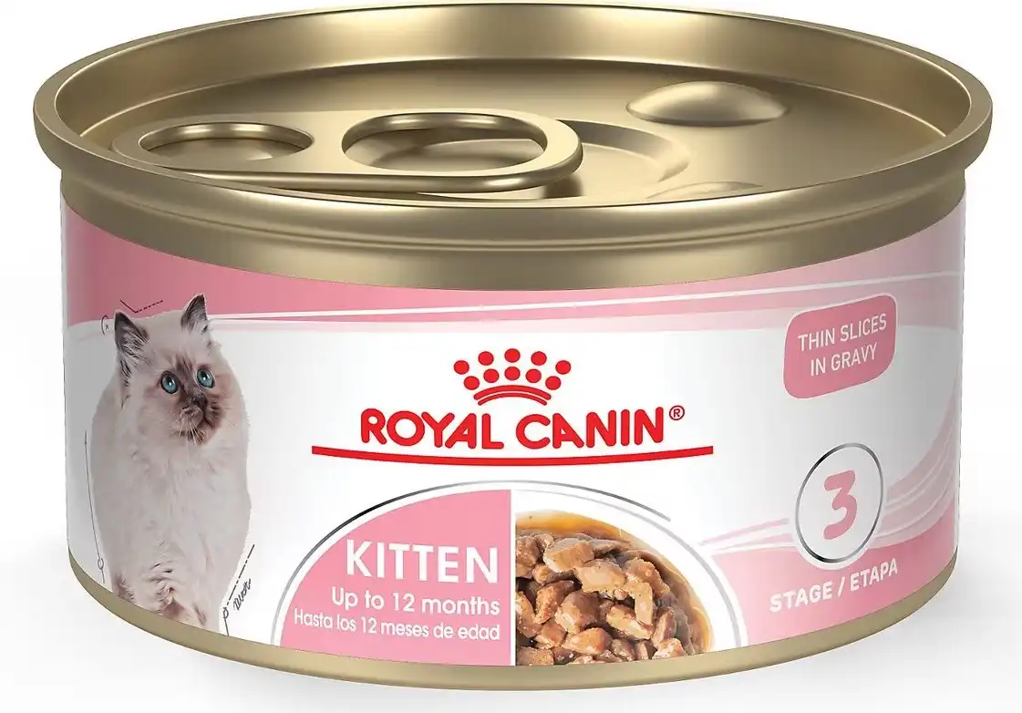 24 x Royal Canin Feline Health Nutrition Thin Slices in Gravy Wet Kitten Food