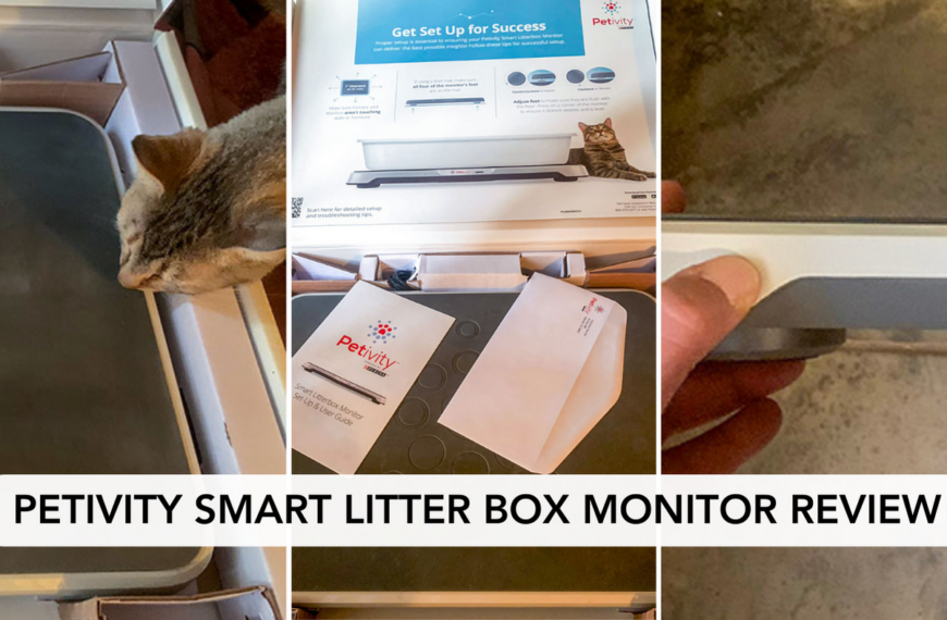Smart Litter Box Monitor Review
