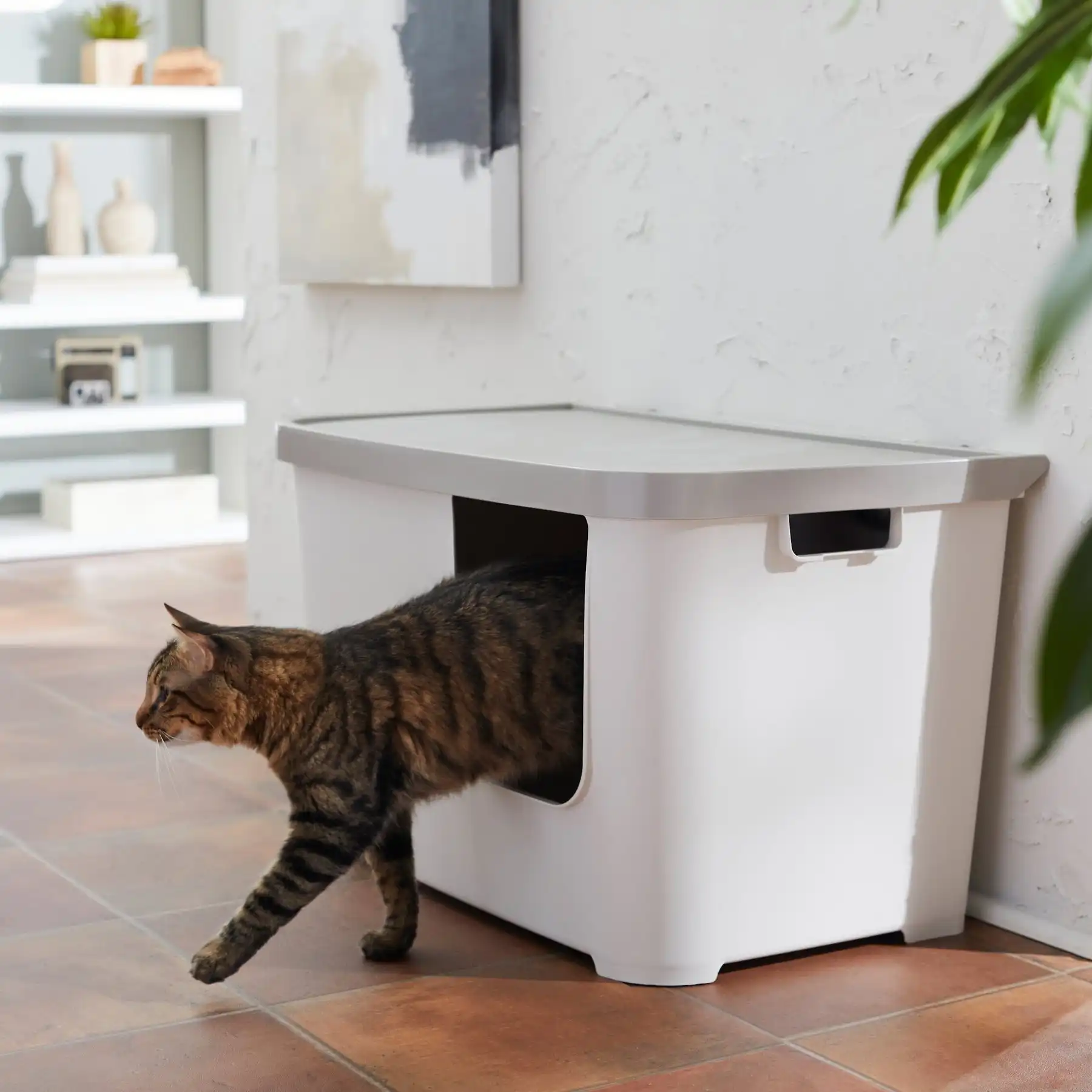 Frisco Multi-Function Covered Cat Litter Box, Jumbo