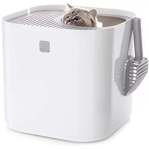 Modkat® Litter Box, Top-Entry - Scoop and Reusable Liner