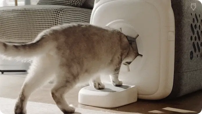 Automatic Cat Groomer Gif