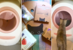 Leo's Loo Too Automatic Cat Litter Box