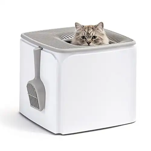IRIS USA Premium Square Top Entry Cat Litter Box with Scoop