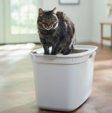 Frisco Top Entry Cat Litter Box