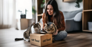 Cat Food Delivery Services