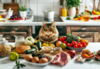 Human Foods Cats Can Eat