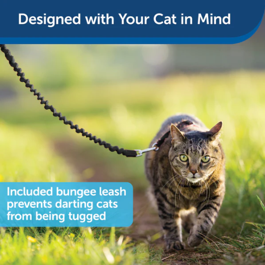 PetSafe® Come With Me Kitty Cat Harness & Bungee Leash