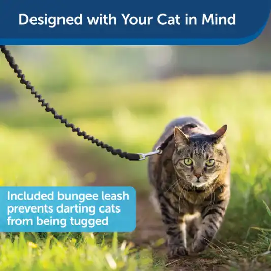 PetSafe® Come With Me Kitty™ Cat Harness & Bungee Leash