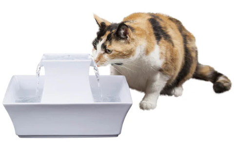 PetSafe® Drinkwell® Pagoda Fountain