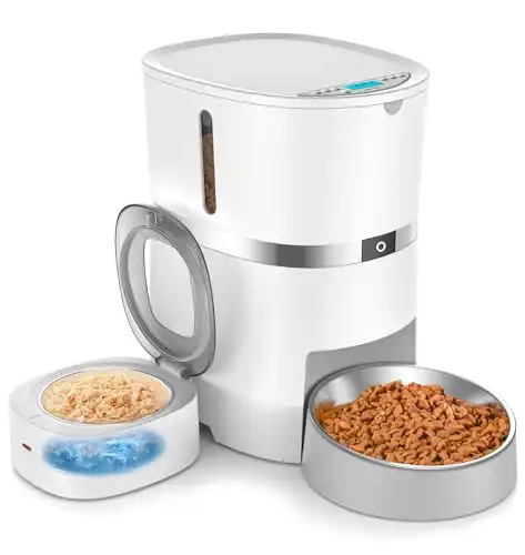 WellToBe Automatic Cat Feeder for Wet & Dry Food