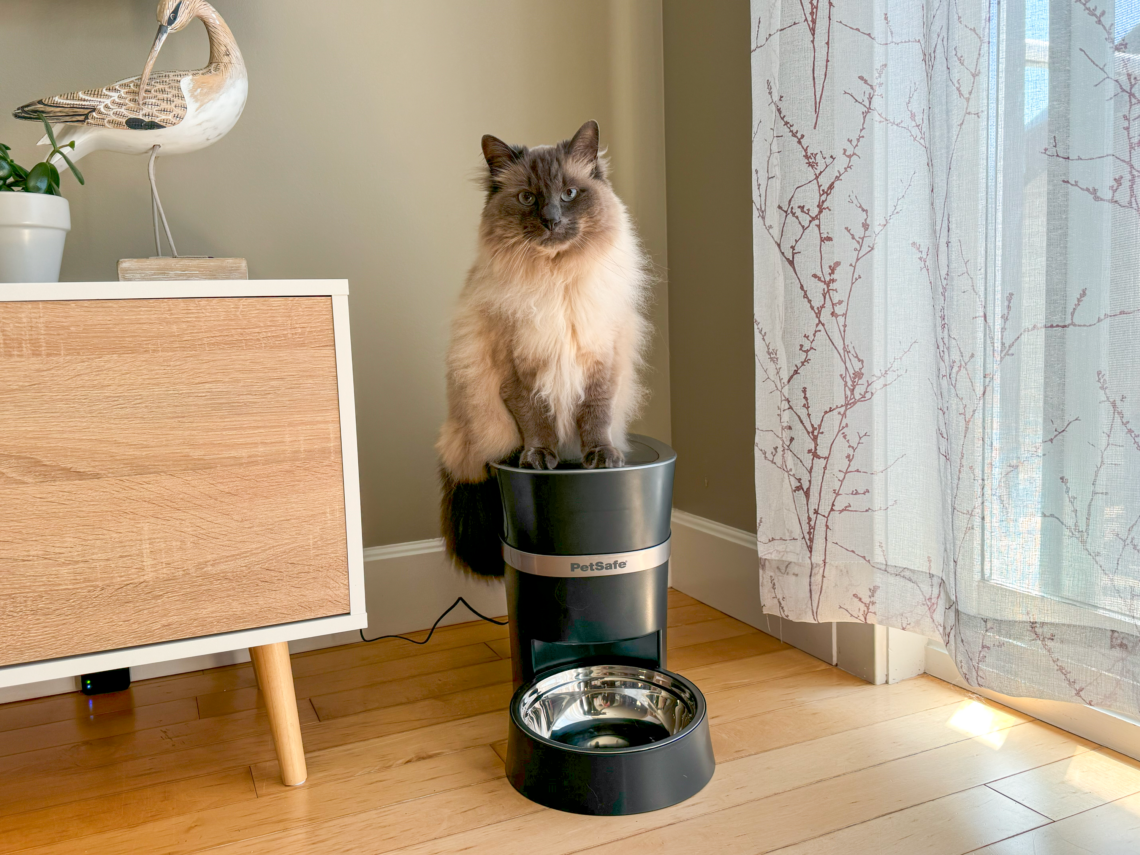 PetSafe Smart Feed Automatic Feeder for cats