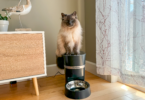 PetSafe Smart Feed Automatic Feeder for cats