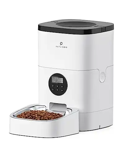 Best automatic cat feeder for two cats best sale