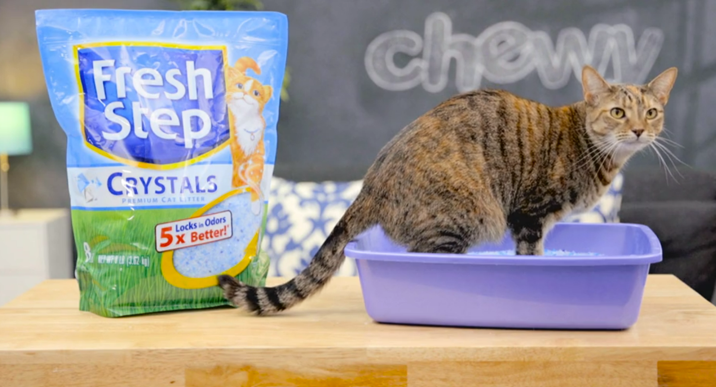 Best Crystal Cat Litter - Fresh Step 