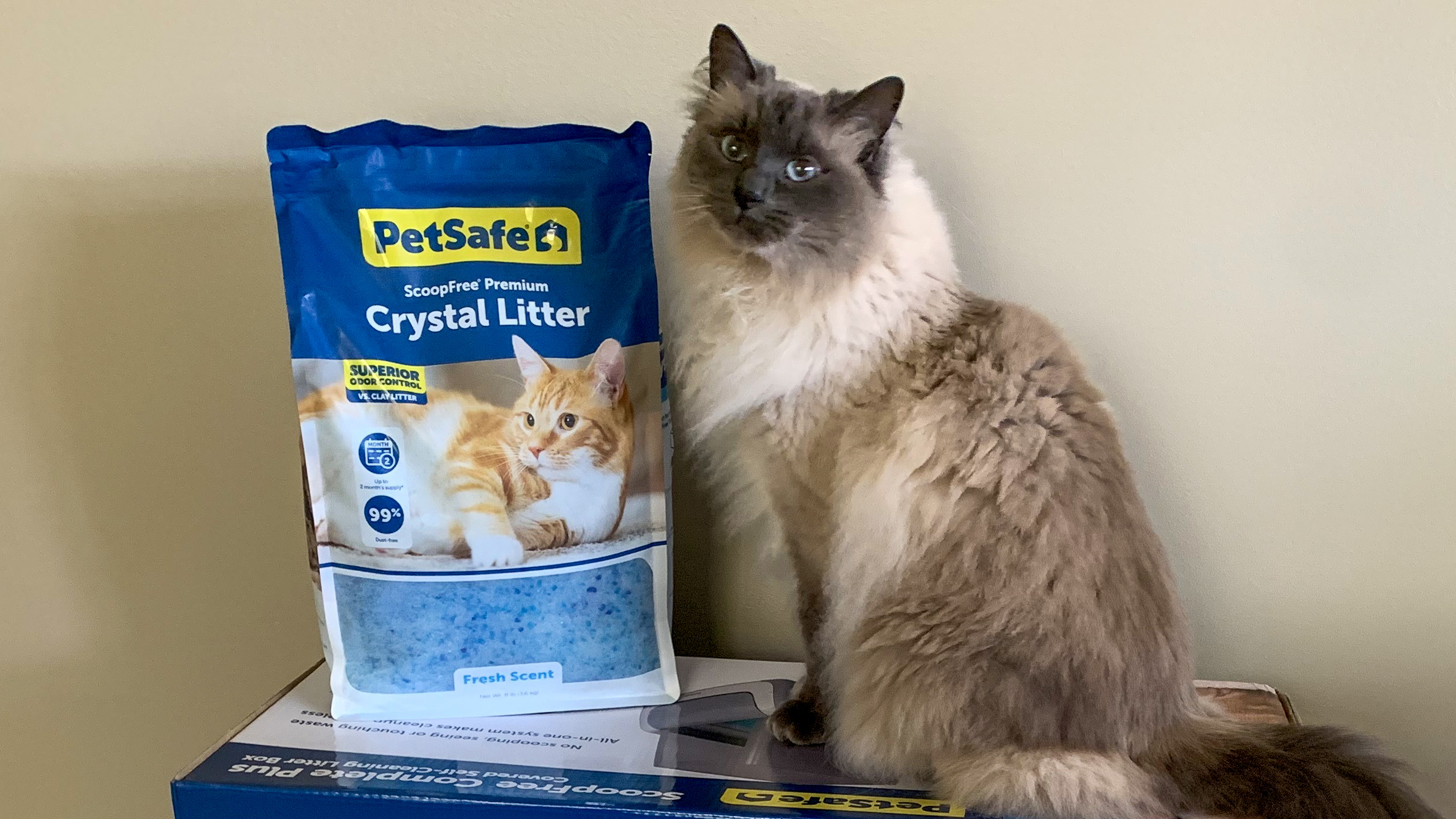 Best Crystal Cat Litter - Milo PetSafe Crystal Litter