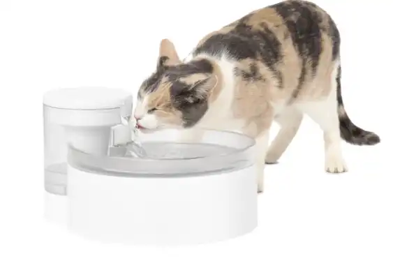 PETSAFE Outlast™ Cat Fountain, 90 oz