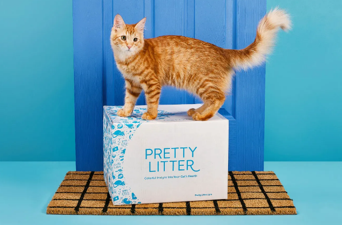 Best Crystal Litter - PrettyLitter