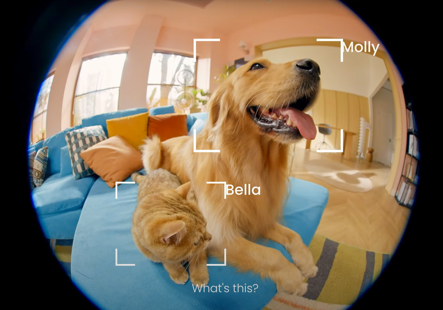 SiiPet AI Pet Camera - Cat and Dog