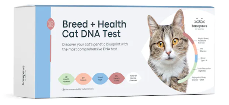 Basepaws Breed + Health Cat DNA Test