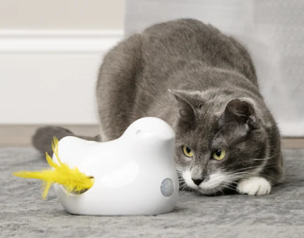 Peek-a-Bird™ Electronic Cat Toy