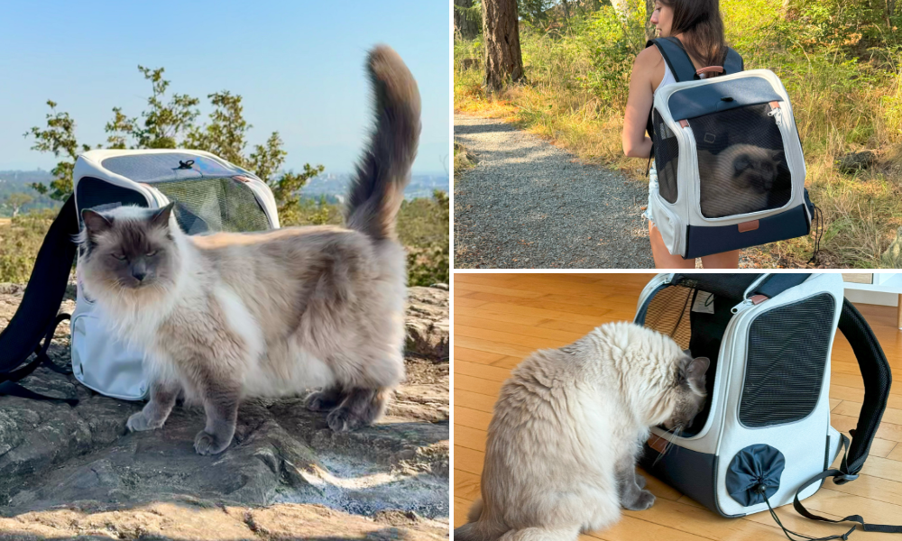 PetSafe Happy Ride Backpack Carrier - Gifts for Cat Lovers