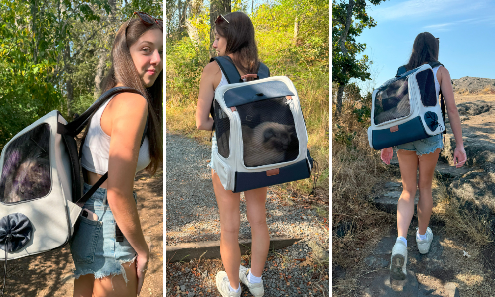 PetSafe Happy Ride Backpack Carrier - walking with the cat - cat carrier backpack