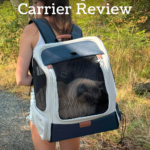 cat carrier backpack