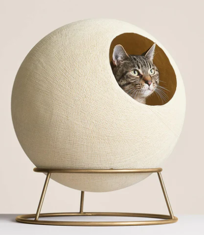 Stellar Cat Bed