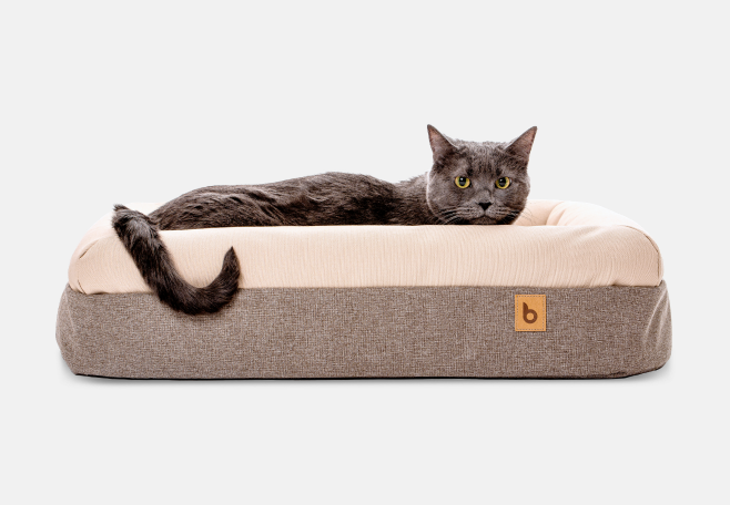 Whisker Memory Foam Bed