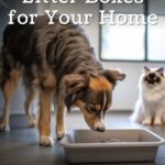 Top 10 Dog-Proof Litter Boxes