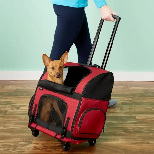 Gen7Pets Geometric Roller with Smart-Level Cat Carrier