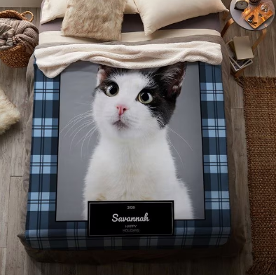 Buffalo Print Holiday Cat Blanket