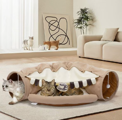 Cat Tunnel