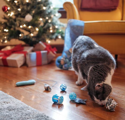 Catnip Stocking