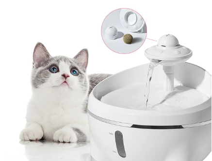 Catnip Water Fountain