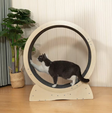 Chewy Cat Exercise Wheel