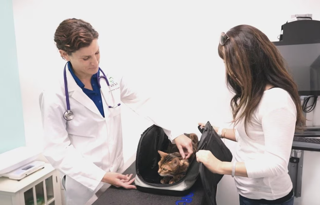 Sleepypod Air Pet Carrier