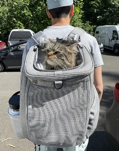 Travel Cat Navigator Carrier Bag