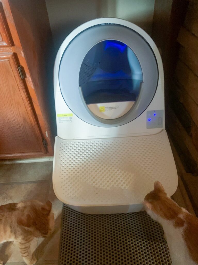 5 Best Automatic Self-Cleaning Litter Boxes for Cats in 2026