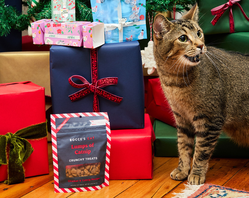 The ultimate gift guide for cats and cat lovers