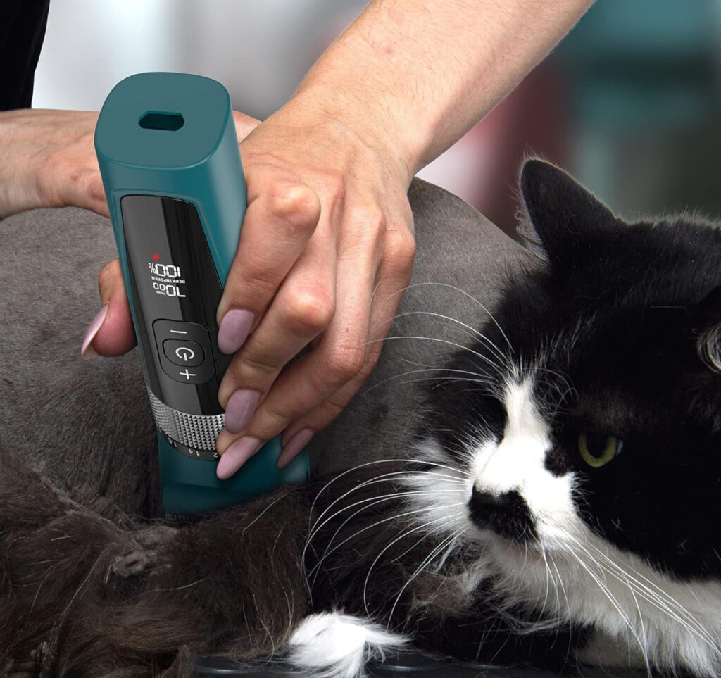Cat grooming clippers