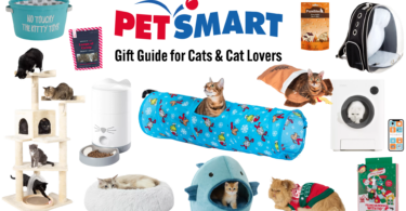 PetSmart The ultimate gift guide for cats and cat lovers
