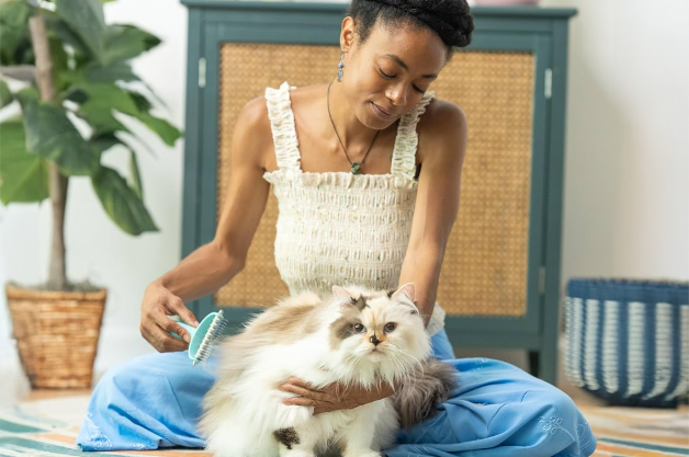 uproot clean deshedder for cat grooming
