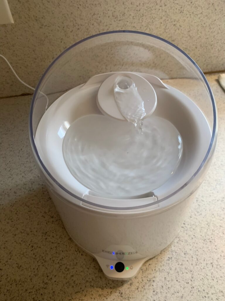 CATLINK PURE 2 Water Fountain Review
