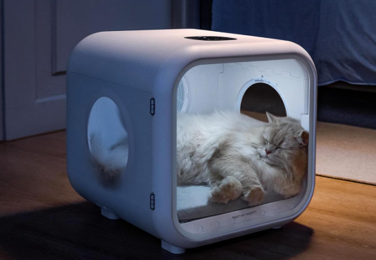 Drybo Plus Pet Dryer