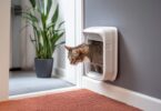 best microchip cat doors