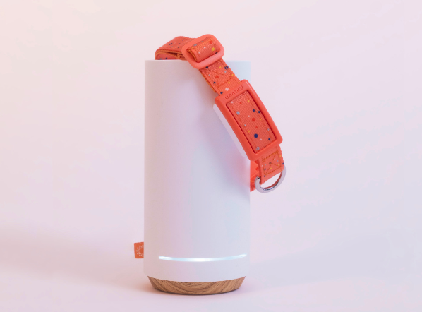 Maven Pet Smart Collar