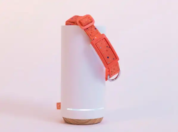 Maven Pet Smart Collar