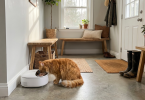 cat eating out of an automatic feeder
